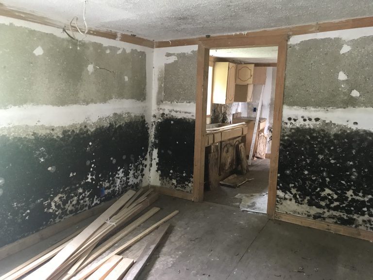 Flooding damage in a house in Marion County, South Carolina, as seen by graduate students working on the Deepening Our Understanding of America’s Most Vulnerable Communities project in the summer of 2019.