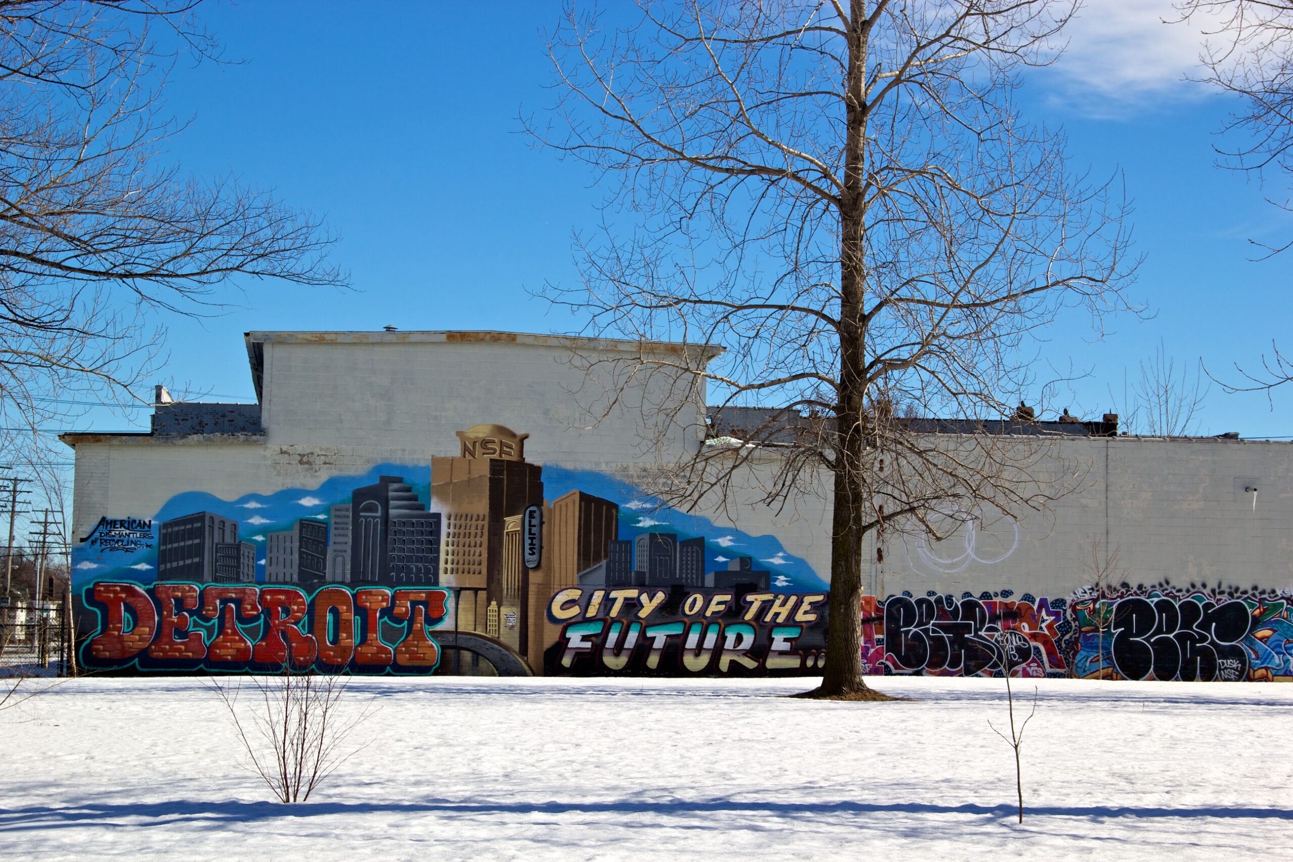 Mural reading Detroit Future with the Detroit skyline in the background.