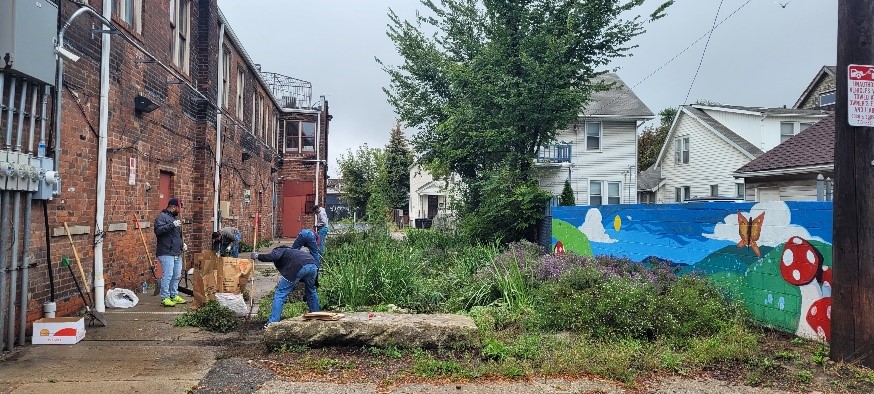 rain garden - SW Detroit Business Association