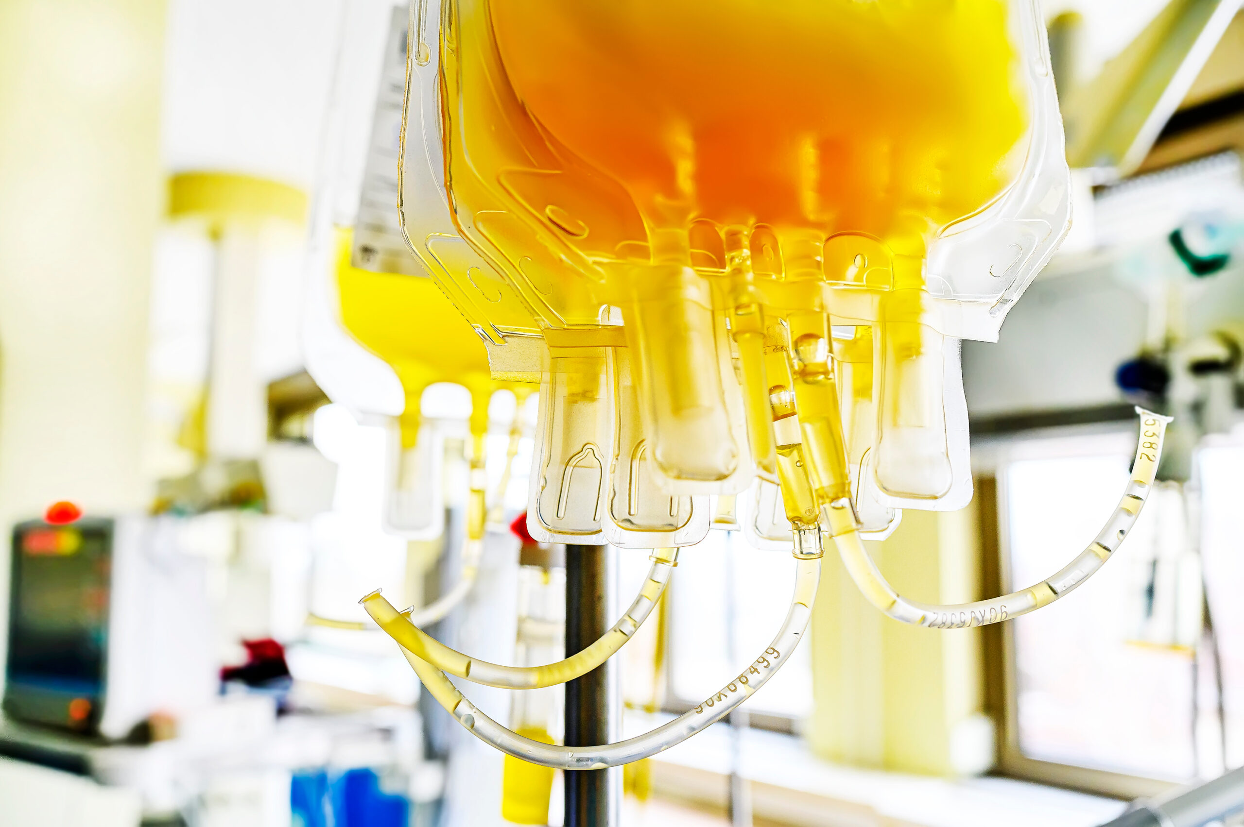blood plasma