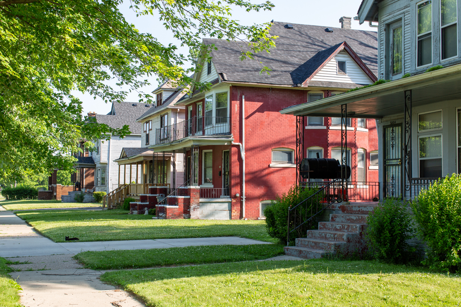 Houses on Field St in Detroit
