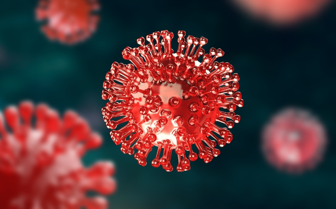 magnified image of covid virus